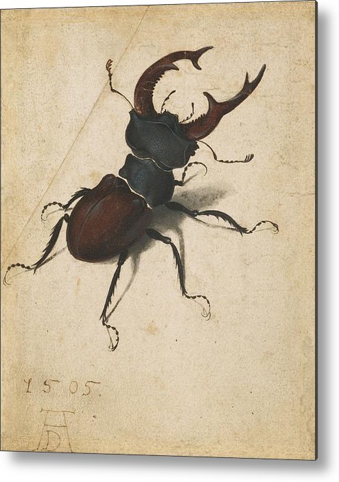 Albrecht Durer Stag Beetle