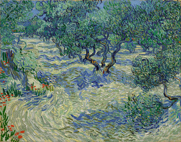 3-olive-orchard-vincent-van-gogh