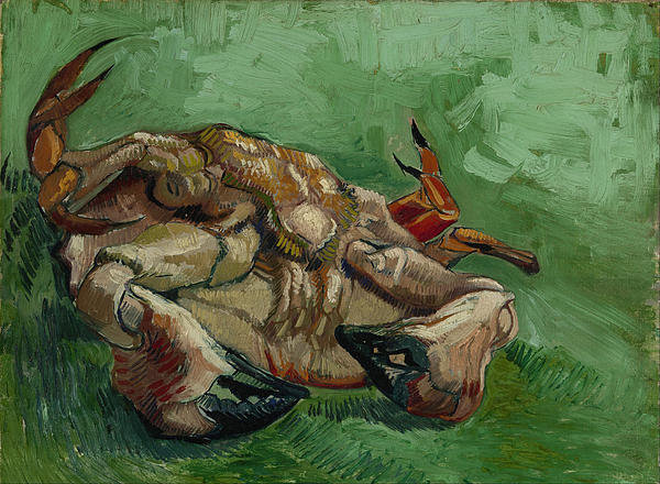 2-a-crab-on-its-back-vincent-van-gogh