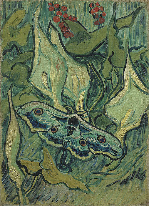 2-emperor-moth-vincent-van-gogh