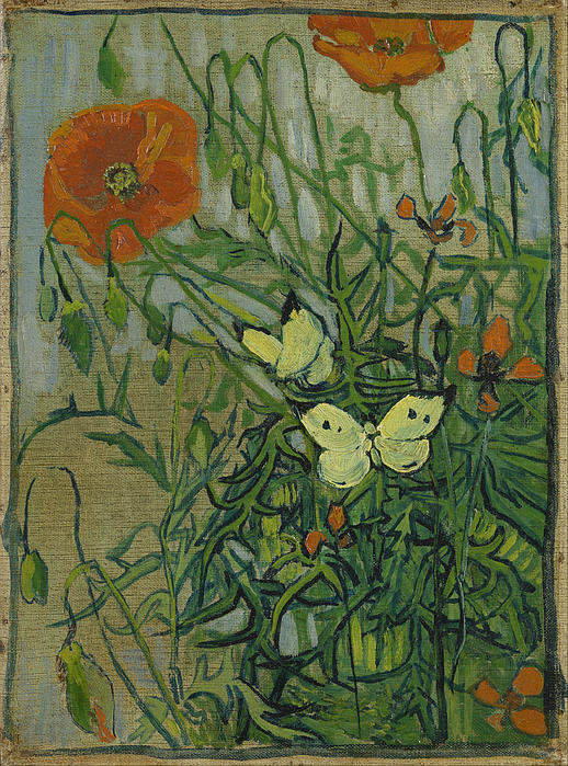 3-butterflies-and-poppies-vincent-van-gogh