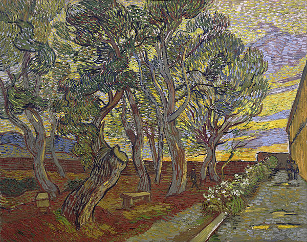 4-the-garden-of-saint-pauls-hospital-vincent-van-gogh