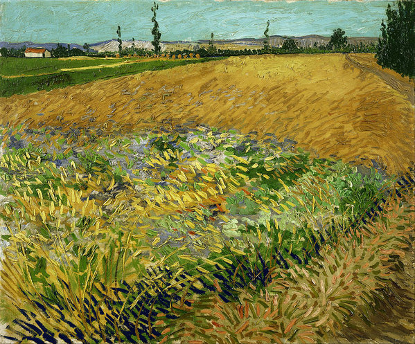 1-wheatfield-vincent-van-gogh