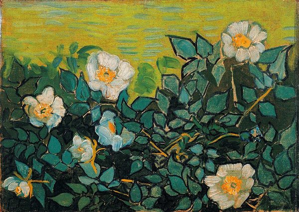 4-wild-roses-vincent-van-gogh