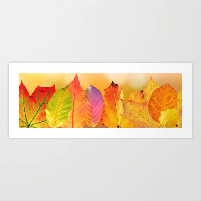 Autumn Leaves Colorful Fine Art Photography Art Print